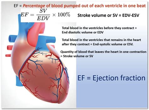 what should your lvef be